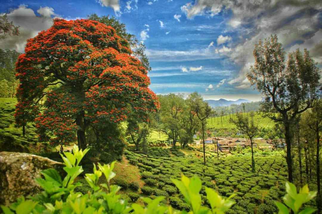 Valparai Tourist Spots